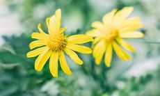 当涉及到割舍，最令人难以启齿的便是那美好而无可替代的亲情——一句令人感慨的话