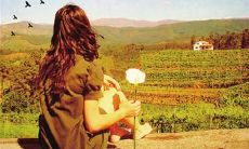 摆脱心酸爱情句子，告别卑微痛苦的感情生活