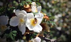 青年节来了，别再发无脑朋友圈了！让我们一起分享精彩、深刻、有内涵的长句子！