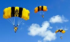 一些让孩子开心笑容的美妙句子，让我们一同分享喜悦！