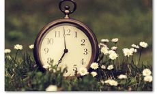 精选珍爱光阴的引人深思诗句，提醒我们把握每一刻的生命价值