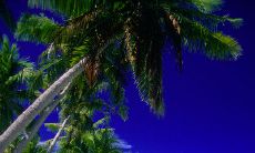 一份温暖贴心的早安问候短信，寄给心灵纯洁的闺蜜，以表深深的祝福和爱！