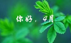 四月你好，如诗如画的美丽句子与情感表达