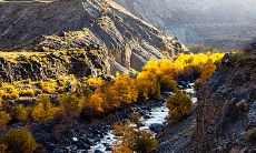 秋冬季快到了，如何通过短信问候客户？