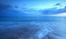 当亲情逐渐逝去，心中最后的渺茫曙光熄灭彻底：描绘亲情无望的惨状