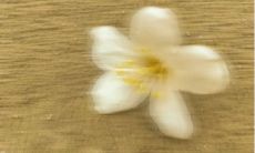 的文案，那些让人无法释怀的语句