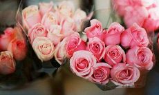 如何给感冒中的女朋友发送充满关怀的细腻短信？