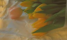 50句无敌温柔的微信状态文案，让你的心灵感受绵绵爱意