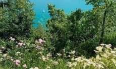 部队运动会口号，简短有力八个字！