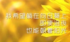 如何在日常生活中珍爱并快乐地度过自己的宝贵人生-一句话启示