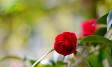 推动精神文明建设，增强体育意识——2019年大学校运动会口号16字