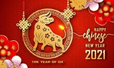 新年到来，送上2022年最新、最真诚的祝福语，愿你新的一年里平安顺遂、喜事连连、事业成功、家庭和睦、身体健康、心灵满足！