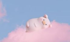 感受到被喜欢的人表白的美妙幸福滋味 - 让我们一起沉醉在这种甜蜜的情感中