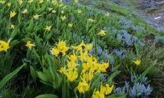 如何取一个有创意、有激情的大学毛概小组名字和口号？