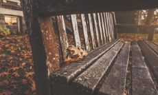 一个完整的感动和温馨的问候短信大合集，包含各种场合和情感表达