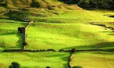 二四班绝妙搞笑口号大赏——为了更加欢乐有趣的运动会!