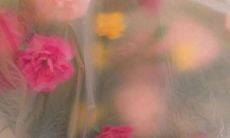 探讨安全感在社交媒体时代中的重要性——分享朋友圈文案的思考和建议