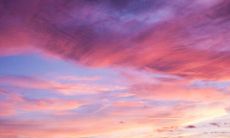 李泽言发短信向员工问候，表达晚间下班的关心和关注