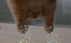 这篇文案是如何通过三观超正的温柔方式来打动读者的？