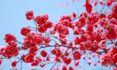 在三月寄予亲友的最温馨祝福语，多彩纷呈且感动人心