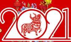 经典短句：祝福语录，迎接牛年的美好未来！