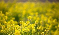 26句描写夏日炽热气息的句子，这份说说清单，让你在夏日的阳光下感受炙烤的温度