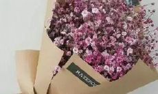 当我们深陷爱情，最容易让人失望的句子子：一场思念如约而至的重生，未能在枯槁岁月里寻觅到它的真谛