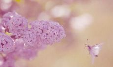 26条说说：迈入九月，送别八月，迎接崭新起点！