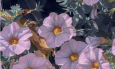 惊艳朋友圈的经典走心唯美句子大集合，绝对让你爱不释手！