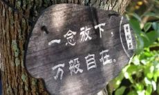 一些唯美句子，关于如何放下执念，不再拖累我们的人生