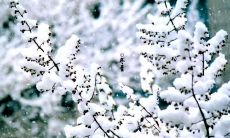 冬至日，欢乐增辉！让我们来分享一些句子，唤醒你们的冬日笑点！让这些搞笑的段子伴随你们度过一个温馨又轻松的冬至