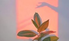 思维深入内心，述说沉重忧伤的句子