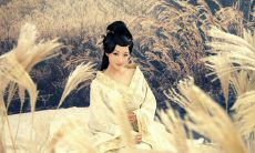 精选古代伤感句子：描绘情感悲愁、倾诉爱恨之情的经典语句