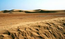 让我们在一周的开端通过短信向在上班的人们问好吧！