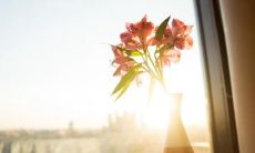 在这个阳光明媚、心情欢畅的日子里，让我们一起享受幸福的时光！