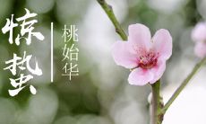 明日惊蛰节气到来，送上全方位的惊蛰节气祝福语，祝愿您生活充满暖意和春光，喜迎新季节！
