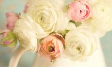 为孩子们送上祝福：愿儿童节带给你们无限欢乐与快乐！