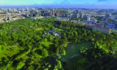 分享珍惜友谊的经典语句，表达内心感悟与情感思考