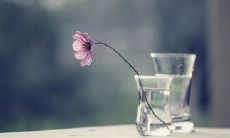 生育过程中的欢笑、喜悦与幸福：为什么成为母亲是如此珍贵且值得庆祝的经历？