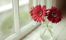 鼓舞人心的正能量句子：汇聚亲情之美的家庭语录