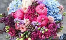 感恩妈妈健康的祝福：一声衷心的祷告，愿您身体健康、幸福长寿