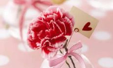 展现感恩老师的心情与态度的句子，以表达对教育者的感激之情