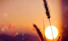 分享正能量的早晨留言：适合于清晨发在朋友圈的话题内容