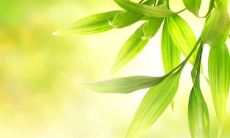 卢梭的经典名言：一句话翻译精华版