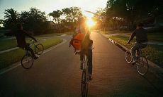 用句子表达兄弟间深厚亲情的感情，说说内心的触动与感悟