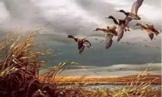 践行踏实、谦虚踏实、脚踏实地的信条——一个强调实践、谦逊及稳健的座右铭