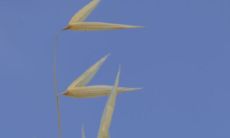 让女生感到无比自豪的称赞和称颂语句