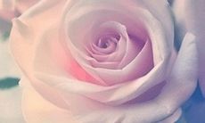 幽默而顽皮的语句，能够让你开开心心地笑出声来