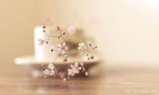 反思时曾让你后悔的霸气句子：你会如何重新表达？