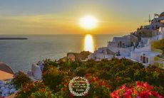 用唯美语言表达亲情之美——美丽的句子和短语尽情倾述内心感受